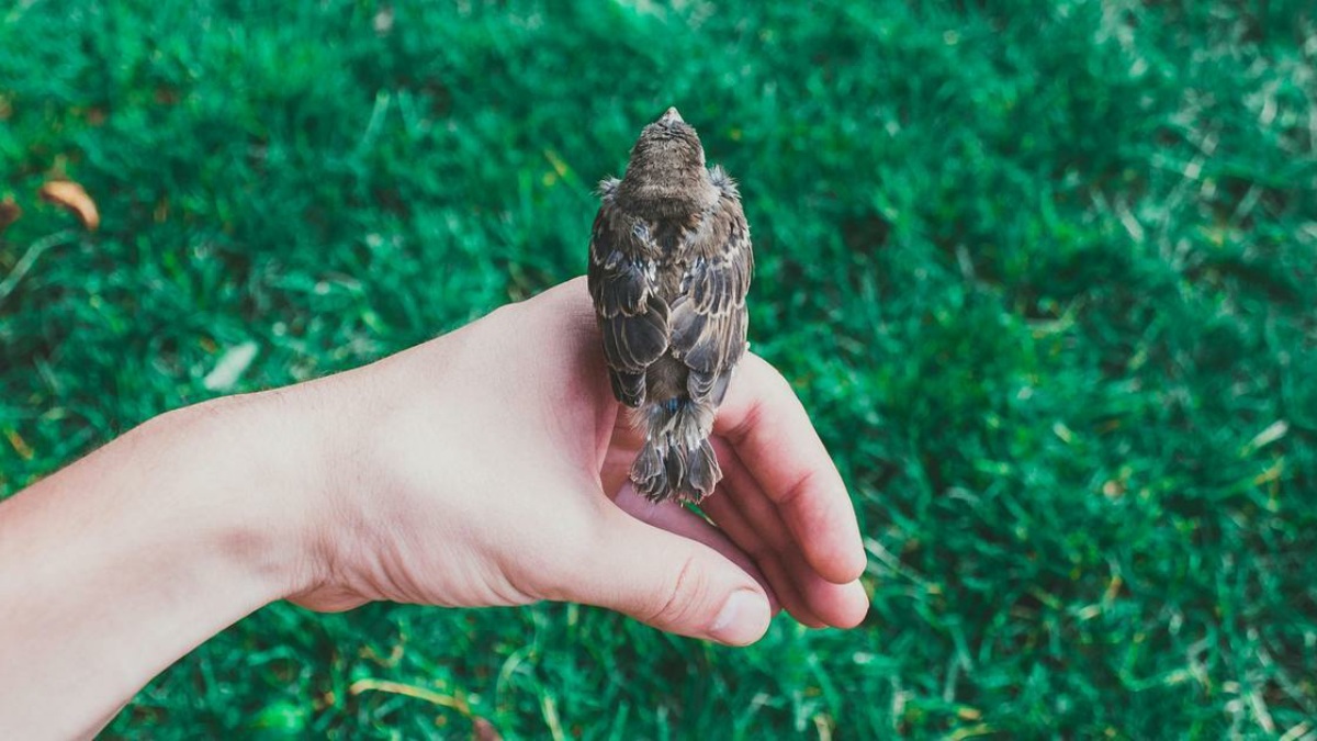 «Зачем жить?»: как же найти ответ на этот главный вопрос (Психология) «Зачем жить?»: как же найти ответ на этот главный вопрос (Психология)