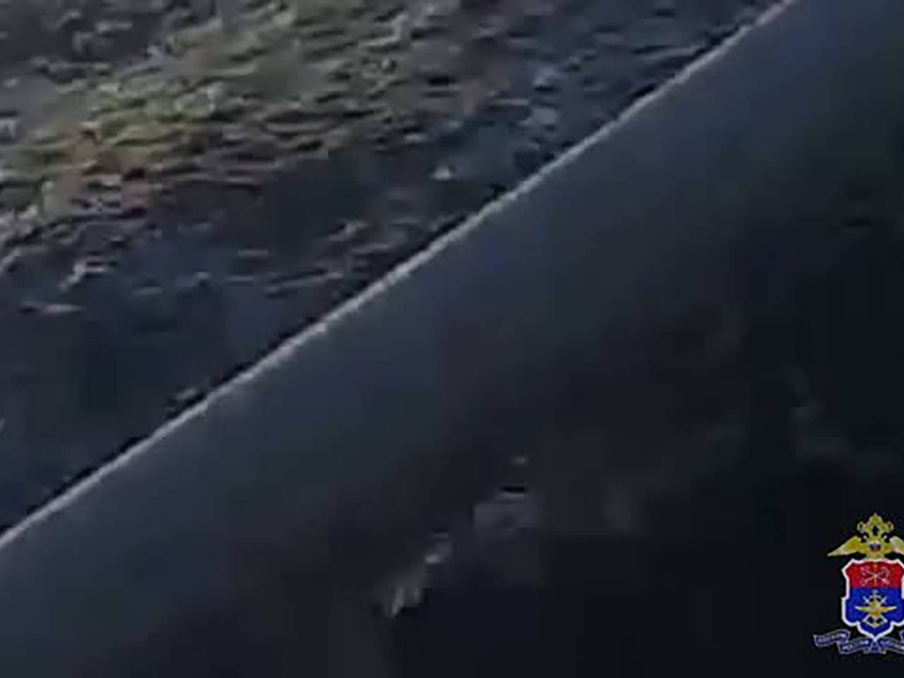 В Петербурге невеста спрыгнула с теплохода в реку на собственной свадьбе и попала на видео